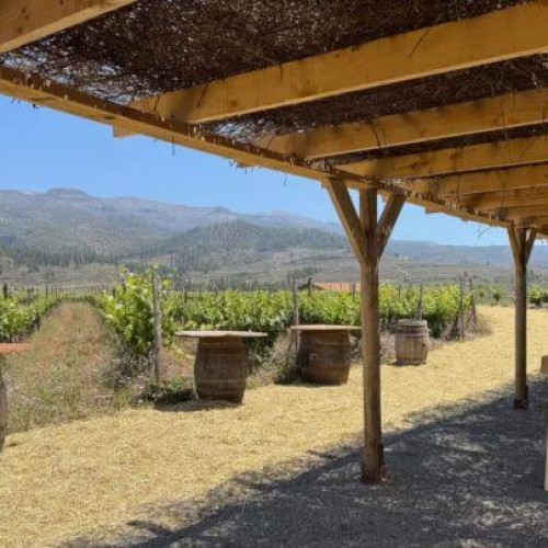 Bodegas Patio - Bodegas - Golosalvo - Wedinbo - Foto 3