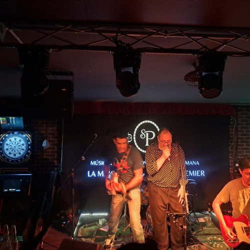 Pimentones - Música - Granada - Wedinbo - Foto 2