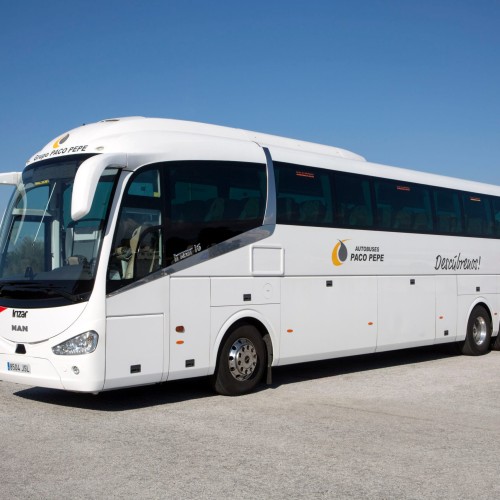 Vamos de paseo - Autobuses - Santa Cruz de Tenerife - Wedinbo