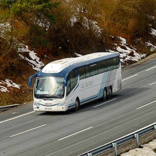 Vamos de paseo - Autobuses - Santa Cruz de Tenerife - Wedinbo - Foto 2